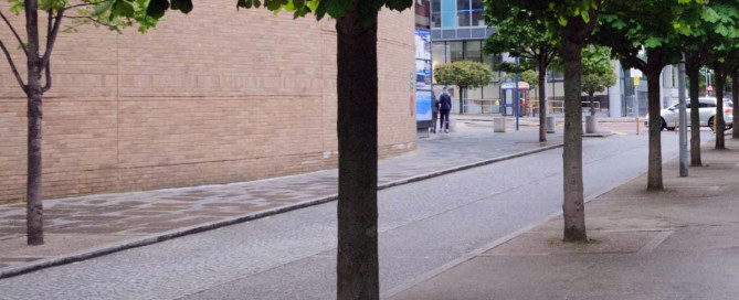 Baumscheibenpatenschaft