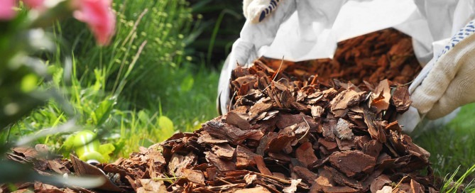 Garten und Außenbereich