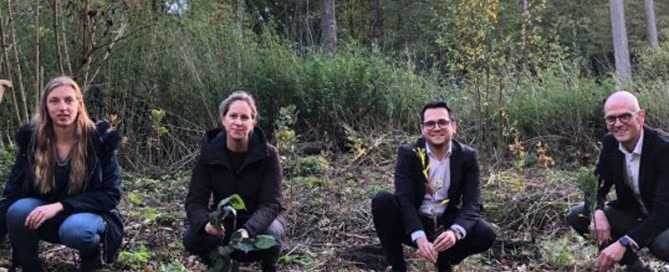 Jeder Baum zählt: Herzogenrath forstet für Klima- und Umweltschutz auf