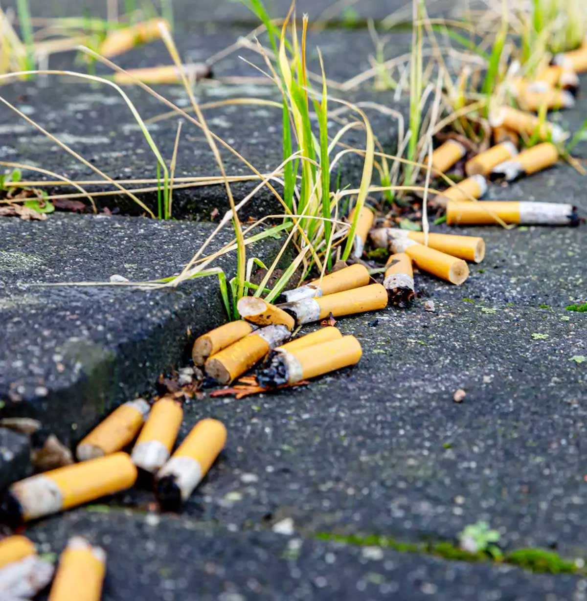 Rauchfrei für die Umwelt