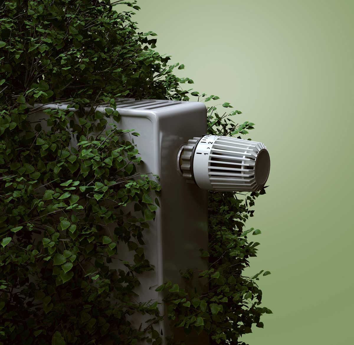 Welche Heizung ist im Einfamilienhaus sinnvoll?