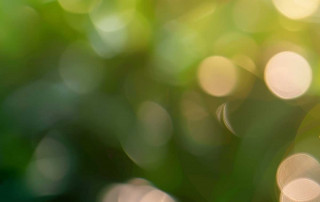 Gewinnerinnen der Umweltehrung 2025