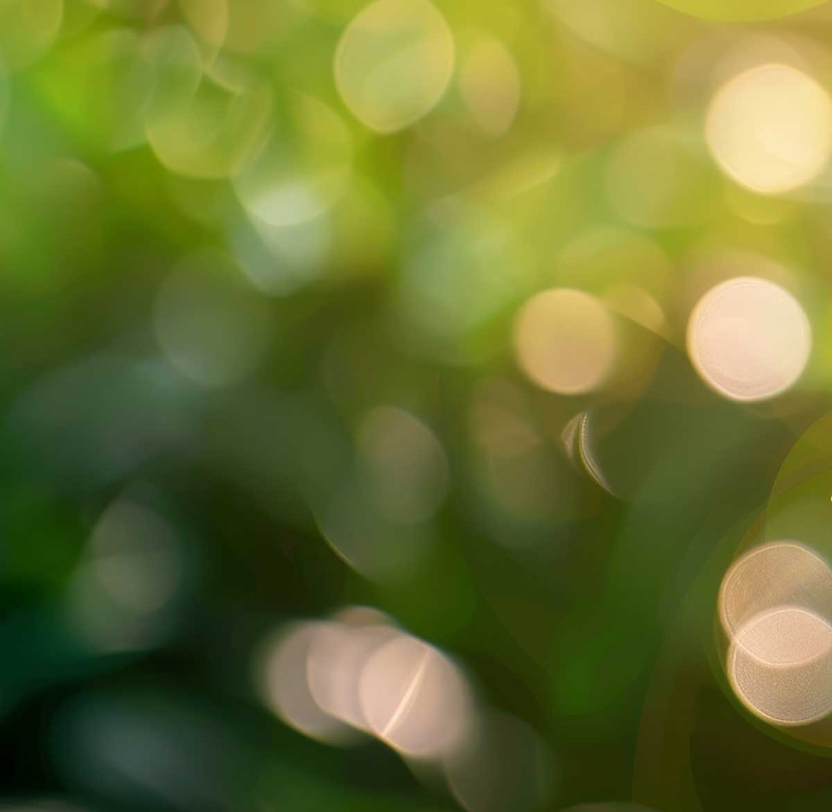 Gewinnerinnen der Umweltehrung 2025