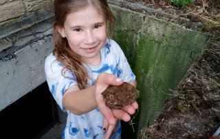 Nominiert für die Umweltehrung 2025: Luzie Weinand und ihr Einsatz für Amphibien (Foto: Janina Weinand)