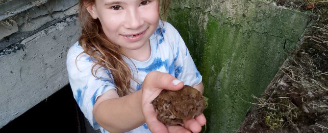 Nominiert für die Umweltehrung 2025: Luzie Weinand und ihr Einsatz für Amphibien (Foto: Janina Weinand)