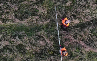 Nominiert für die Umweltehrung 2025: Rehkitzrettung Aachen Land e.V. (Foto: Martin Baldus / Übach Palenberg)