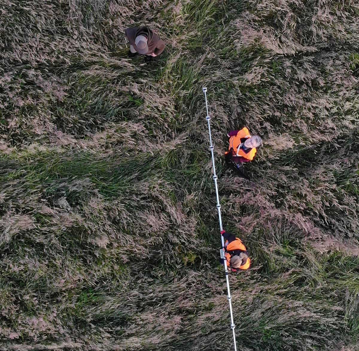 Nominiert für die Umweltehrung 2025: Rehkitzrettung Aachen Land e.V. (Foto: Martin Baldus / Übach Palenberg)