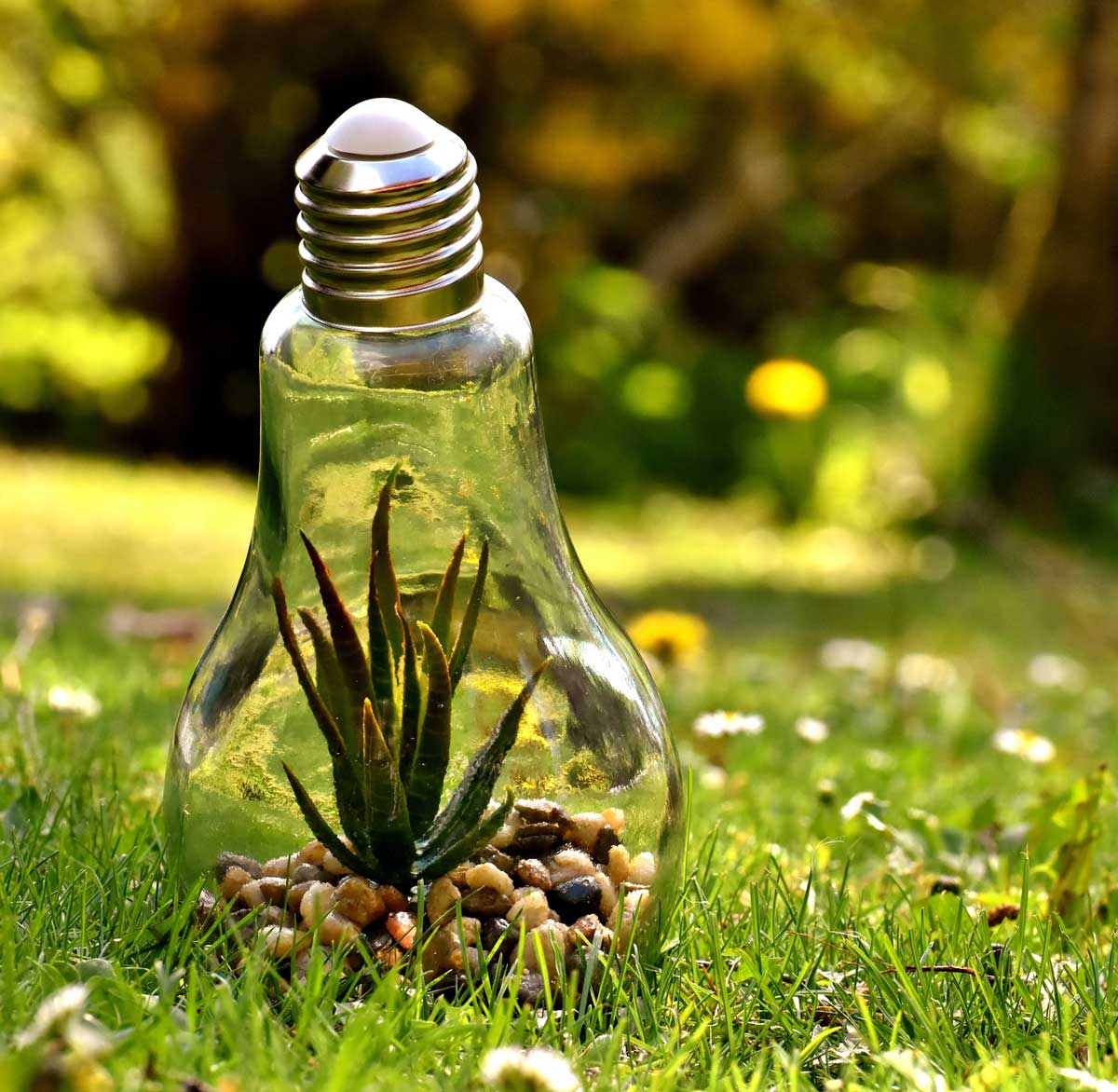 Öko­logische Grenzen, neue Chancen – Nach­haltig­keit neu denken