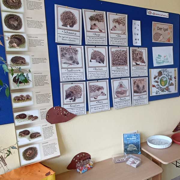 Igelretterkids GS Kohlscheid Mitte Igelretterkids GS Kohlscheid Mitte