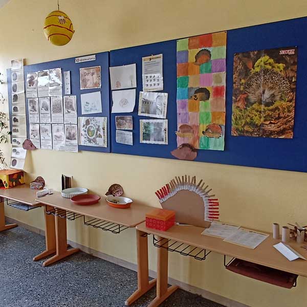 Igelretterkids GS Kohlscheid Mitte Igelretterkids GS Kohlscheid Mitte